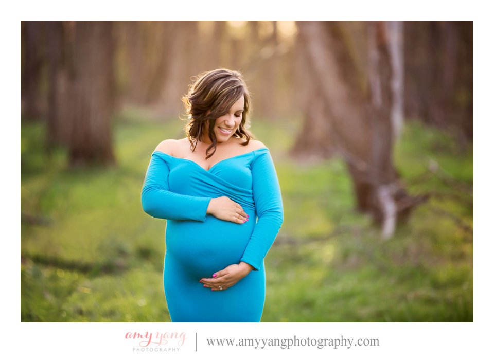 Pregnancy Maternity Photography Photographs