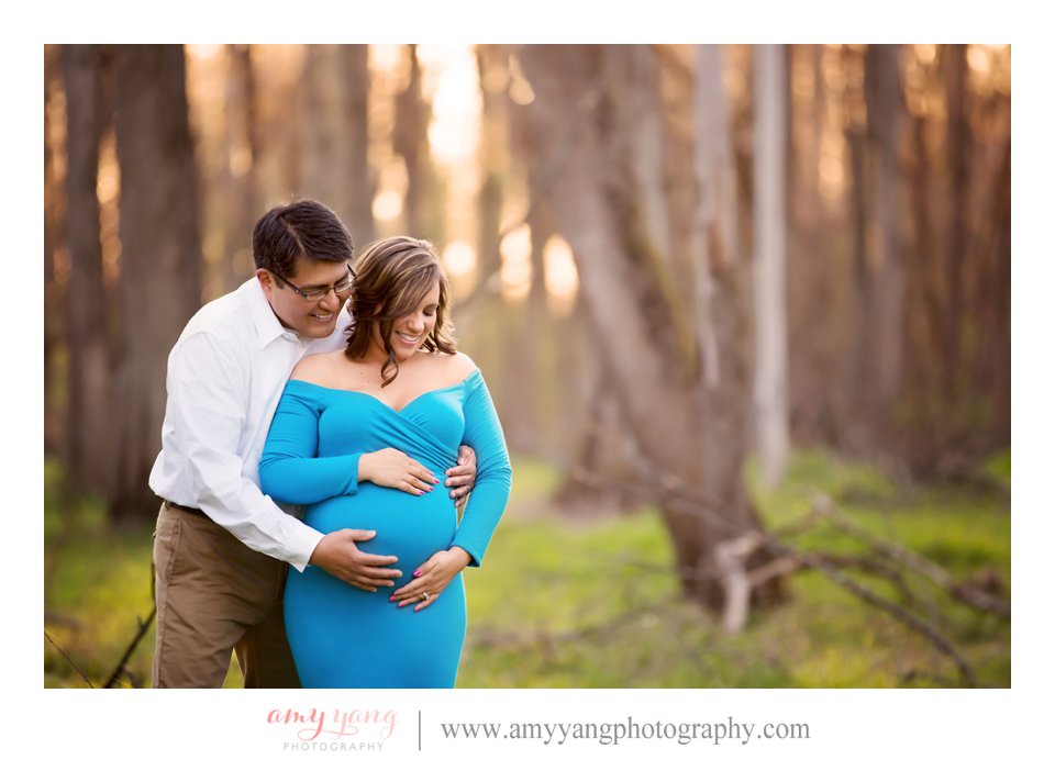 Pregnancy Maternity Photography Photographs