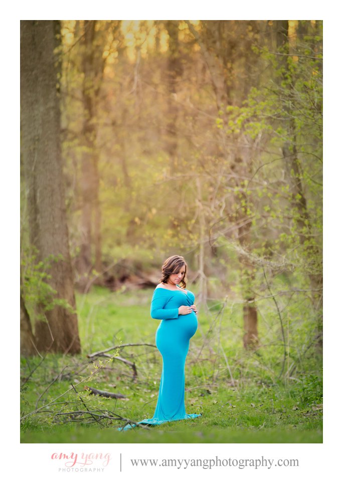 Pregnancy Maternity Photography Photographs