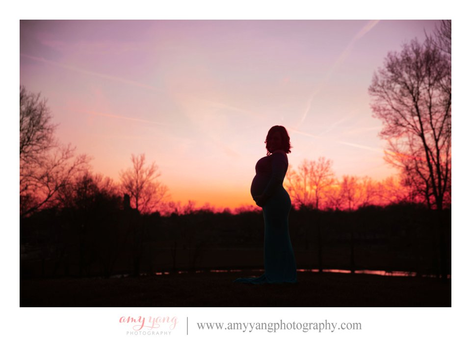 Pregnancy Maternity Photography Photographs