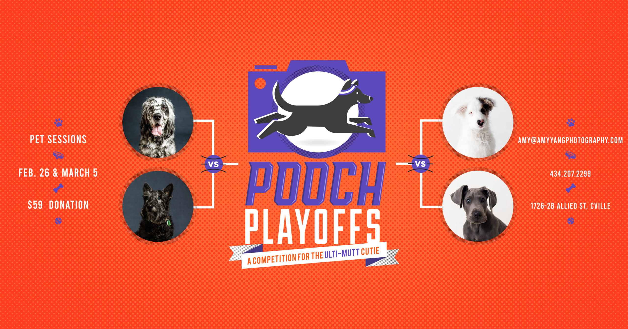 Pooch Playoffs Luxury Newborn, Baby, Family Photographer