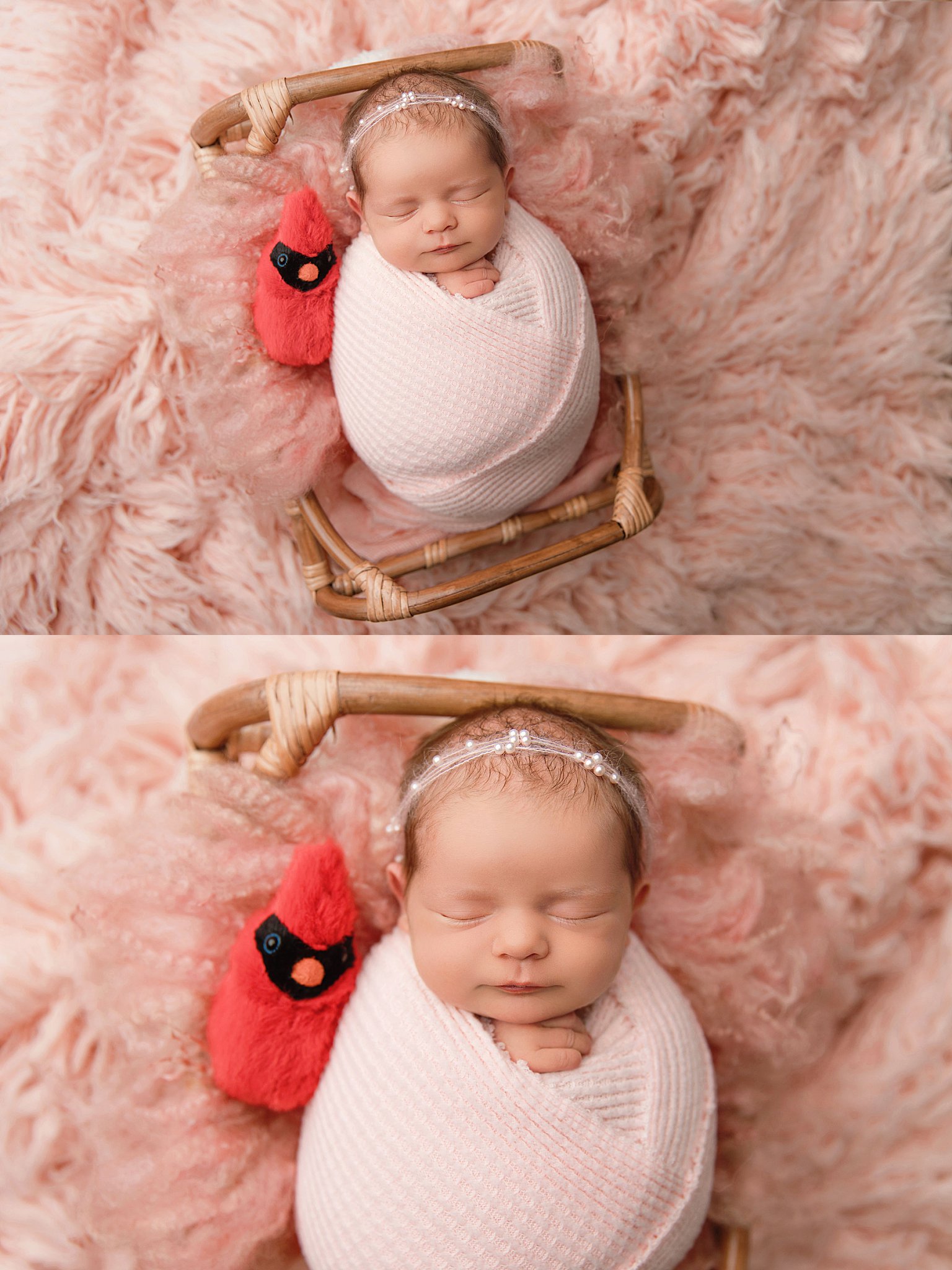 red cardinal rests next to infant in pink by Amy Yang Photography