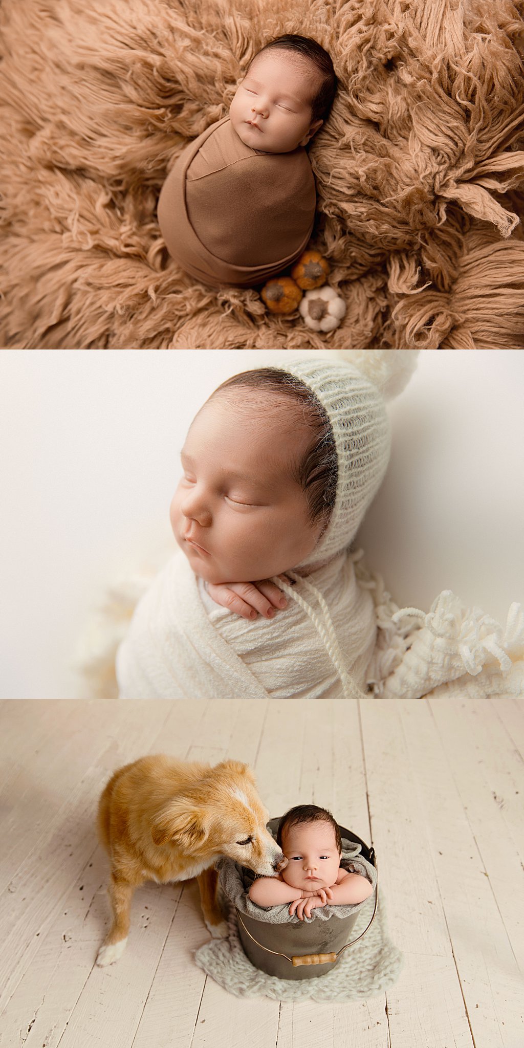 baby swaddled in brown and cream during newborn studio session