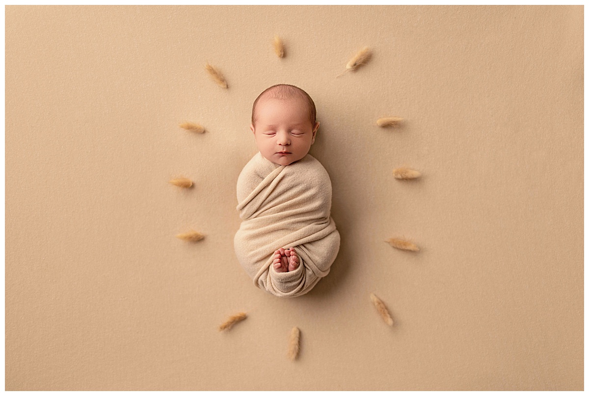 swaddled baby surrounded by wheat for sibling newborn session